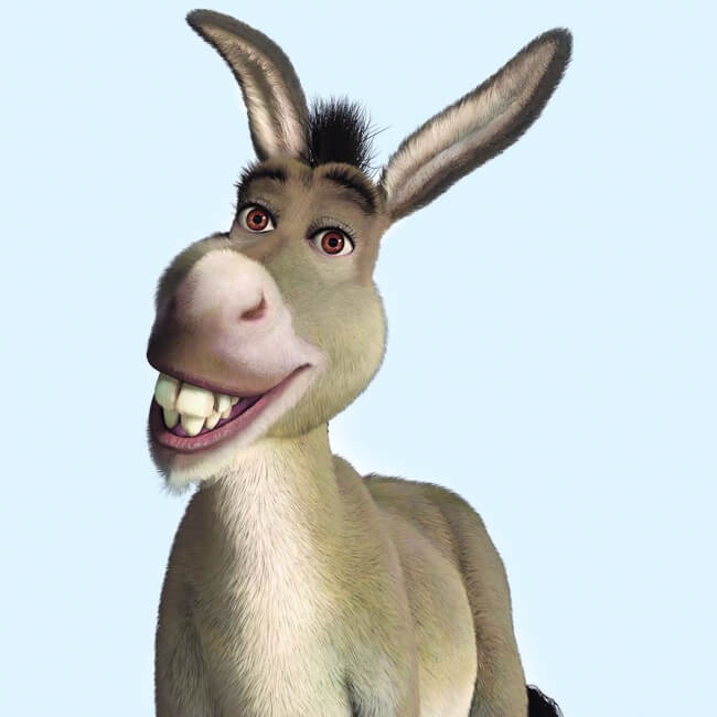 Before-Donkey